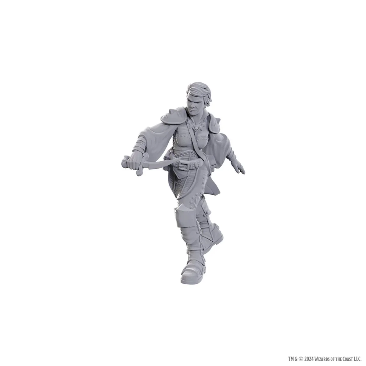 Dungeons & Dragons: Nolzur's Marvelous Unpainted Miniatures Wave 25: Swashbuckler