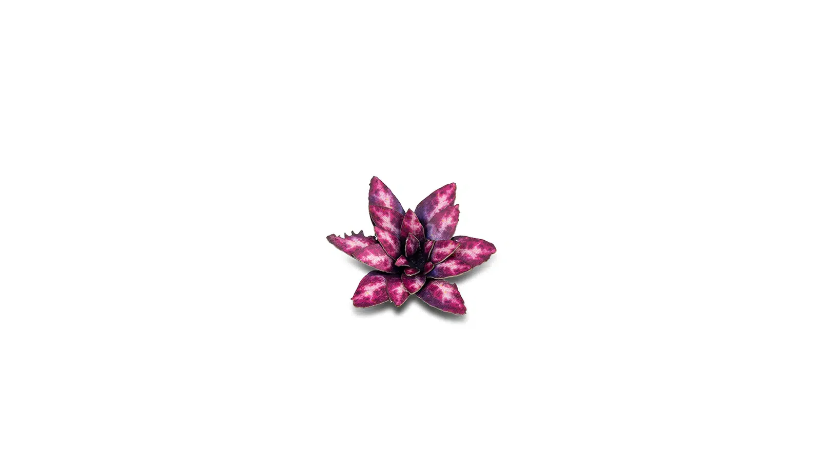 Gamer Grass: Alien Rosette Laser Plants - Image 4