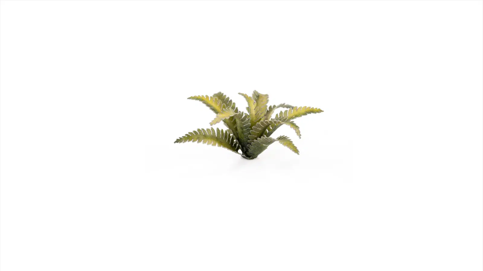 Gamer Grass: Deer Fern Laser Plants - Image 2